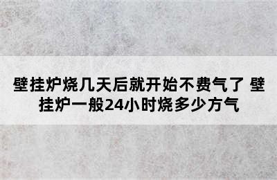 壁挂炉烧几天后就开始不费气了 壁挂炉一般24小时烧多少方气